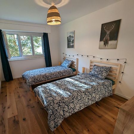 Appartement Spacieux Au Centre De La Gruyere Broc ภายนอก รูปภาพ
