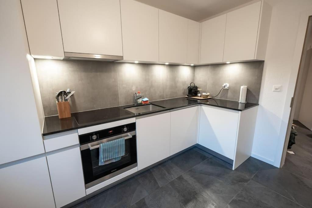 Appartement Spacieux Au Centre De La Gruyere Broc ภายนอก รูปภาพ