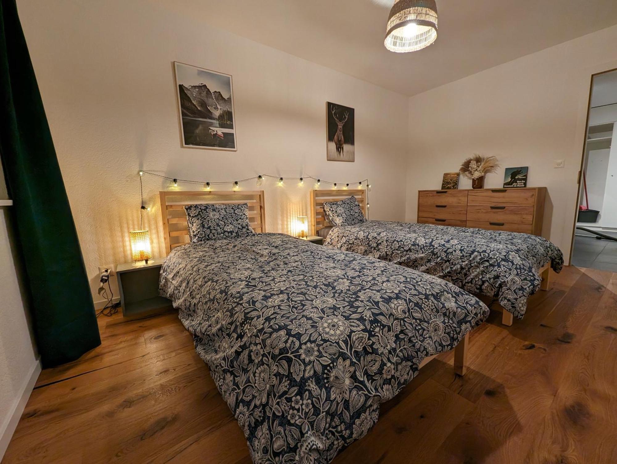 Appartement Spacieux Au Centre De La Gruyere Broc ภายนอก รูปภาพ